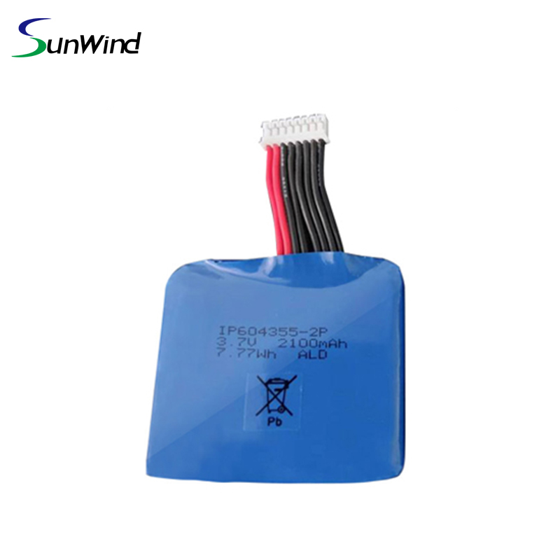 Hot Sell POS Terminal IP604355 2P Battery for Dejavoo Z9 Castles V3 3.7v 2100mah Handheld POS System